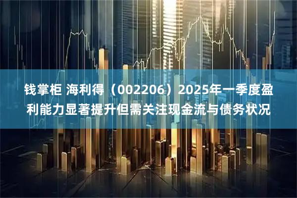 钱掌柜 海利得（002206）2025年一季度盈利能力显著提升但需关注现金流与债务状况
