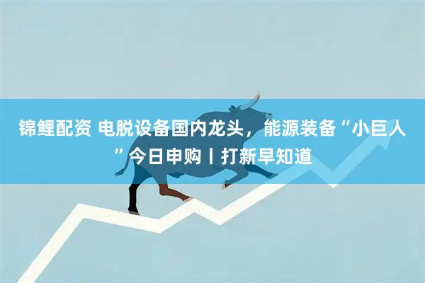 锦鲤配资 电脱设备国内龙头，能源装备“小巨人”今日申购丨打新早知道