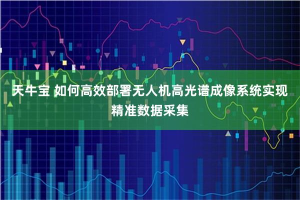 天牛宝 如何高效部署无人机高光谱成像系统实现精准数据采集