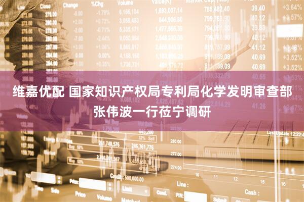 维嘉优配 国家知识产权局专利局化学发明审查部张伟波一行莅宁调研