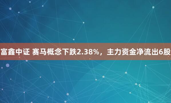 富鑫中证 赛马概念下跌2.38%，主力资金净流出6股