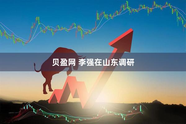 贝盈网 李强在山东调研