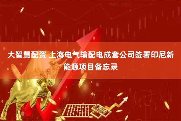 大智慧配资 上海电气输配电成套公司签署印尼新能源项目备忘录