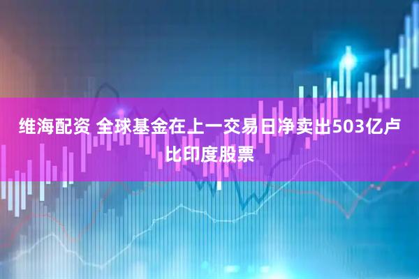 维海配资 全球基金在上一交易日净卖出503亿卢比印度股票