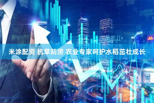 米涂配资 抗旱防涝 农业专家呵护水稻茁壮成长