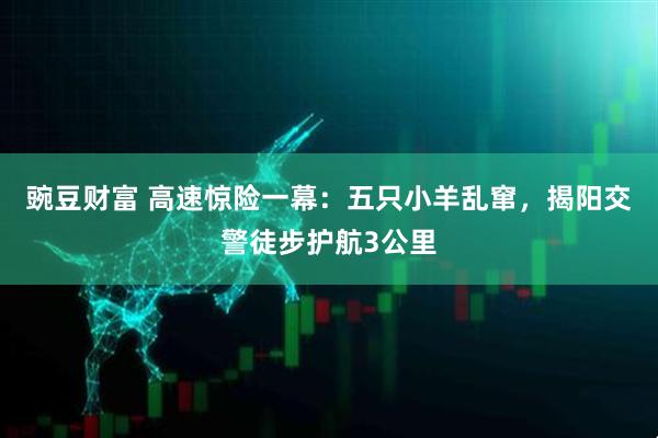 豌豆财富 高速惊险一幕：五只小羊乱窜，揭阳交警徒步护航3公里