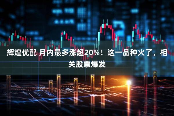 辉煌优配 月内最多涨超20%！这一品种火了，相关股票爆发